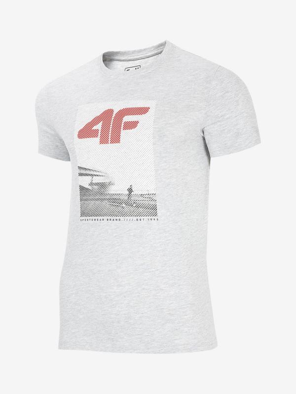 Tričko 4F Tsm253 T-Shirt Šedá