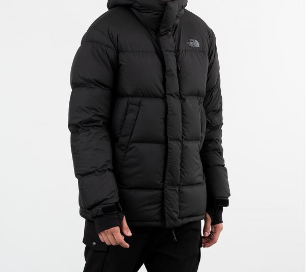 The North Face Vistaview Down Coat Black