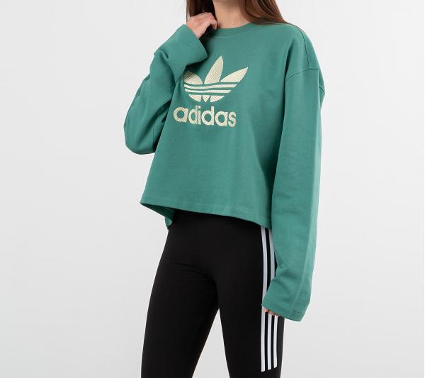 adidas LG Crewneck Future Hydro F10