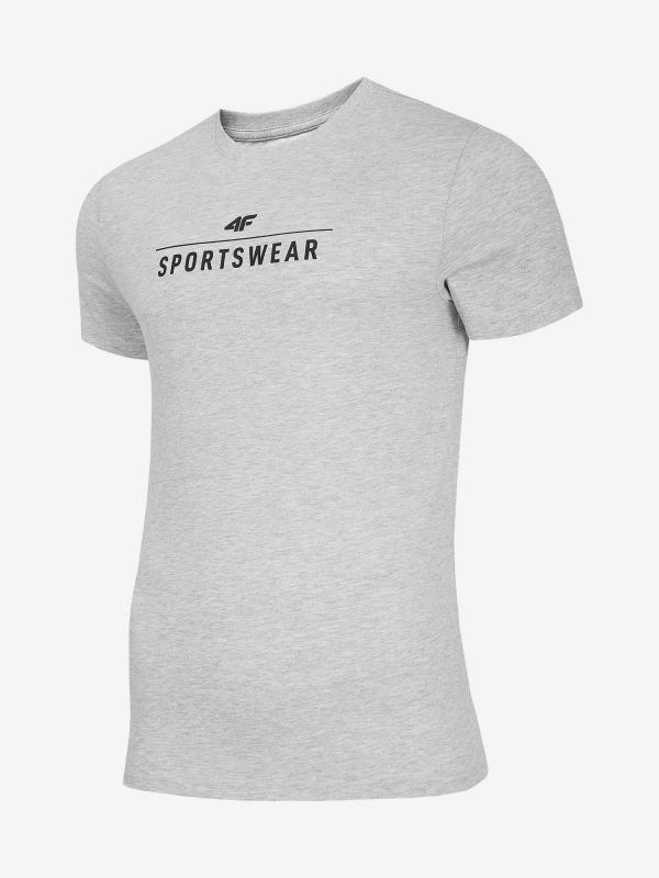 Tričko 4F Tsm302 T-Shirt Šedá