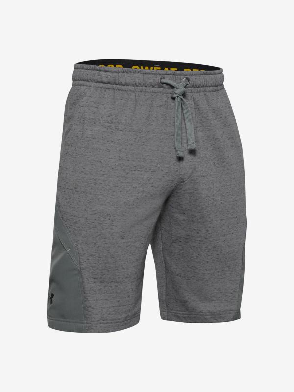 Kraťasy Under Armour Project Rock Terry Shorts Šedá