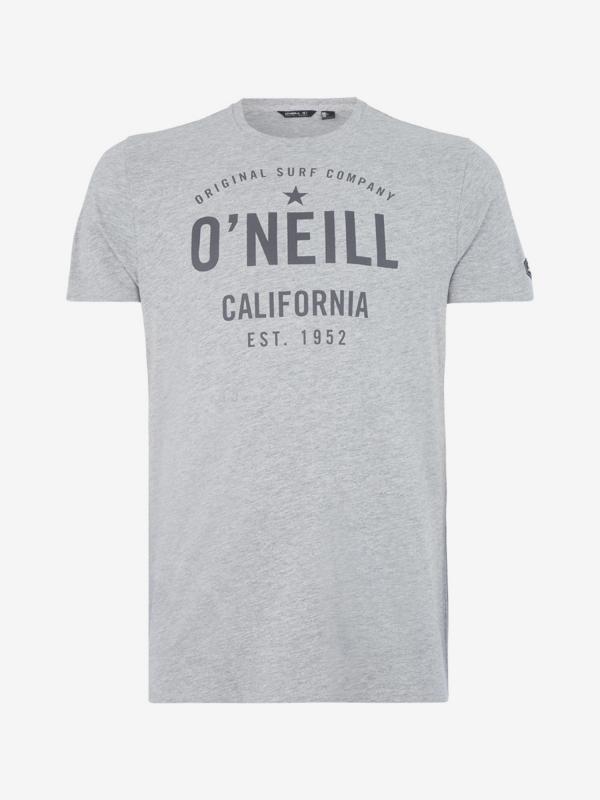 Tričko O'Neill Lm Ocotillo T-Shirt Šedá