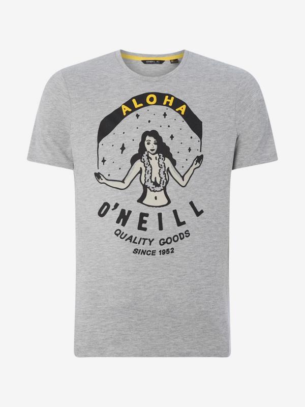 Tričko O'Neill Lm Waimea T-Shirt Šedá