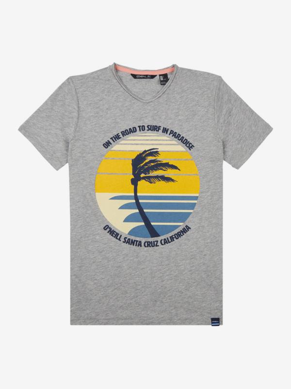 Tričko O'Neill Lb Palm Print T-Shirt Šedá