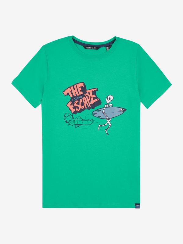 Tričko O'Neill Lb Connor T-Shirt Zelená
