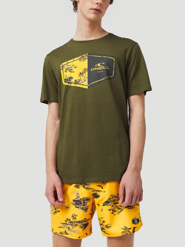 Tričko O'Neill Lm Marco T-Shirt Zelená