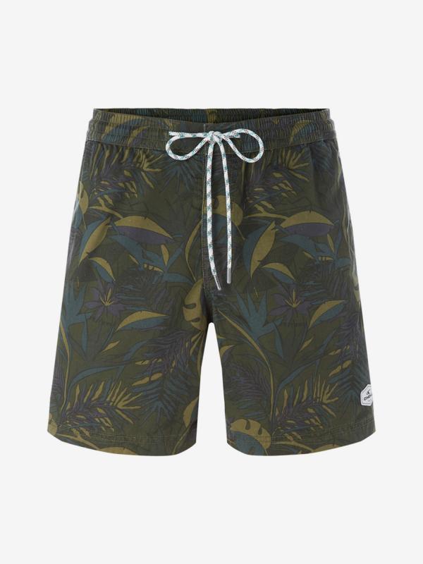 Kraťasy O'Neill Lm Kamakou Walk Shorts Zelená