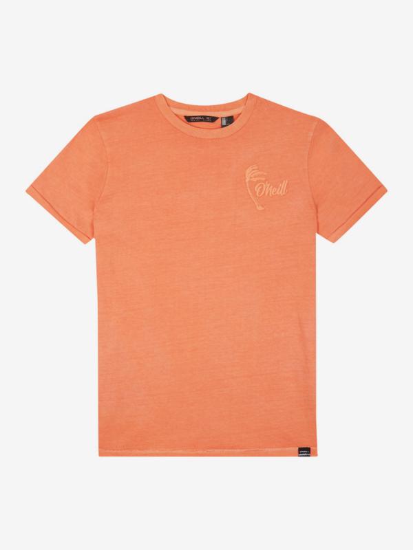 Tričko O'Neill Lb Carter Washed T-Shirt Oranžová