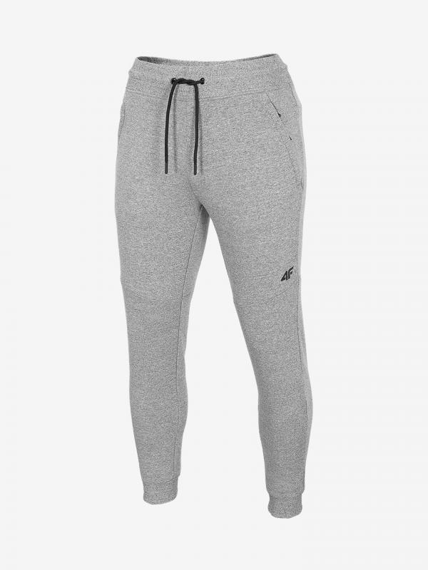 Tepláky 4F Men's Trousers Spmd306 Šedá