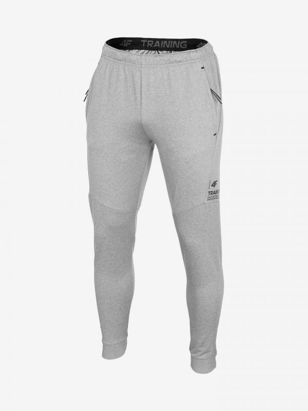 Tepláky 4F Men's Functional Trousers Spmtr202 Šedá