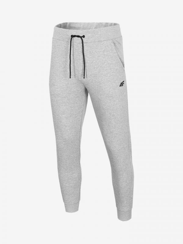Tepláky 4F Men's Trousers Spmd301 Šedá