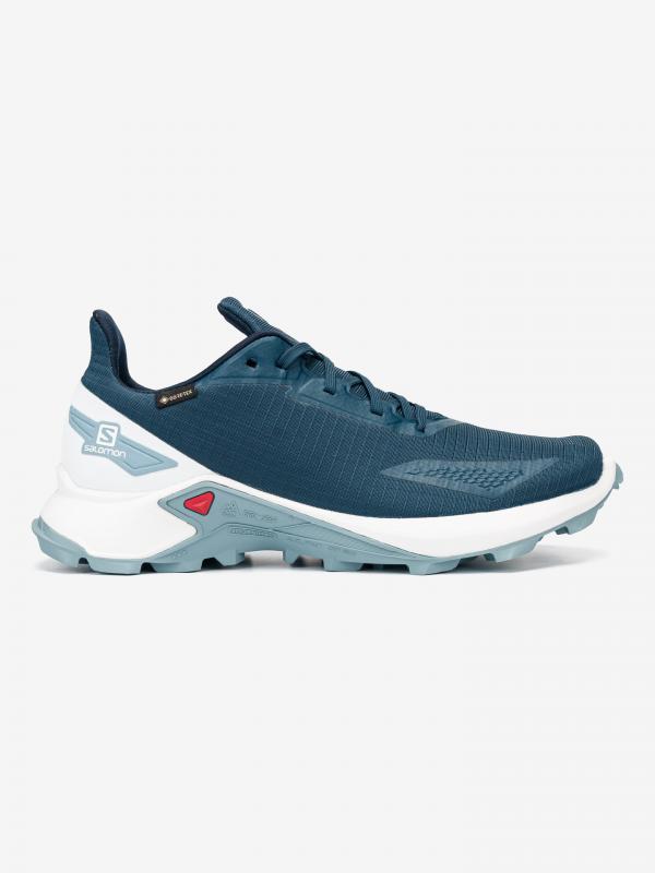 Alphacross Blast GTX Tenisky Salomon Modrá