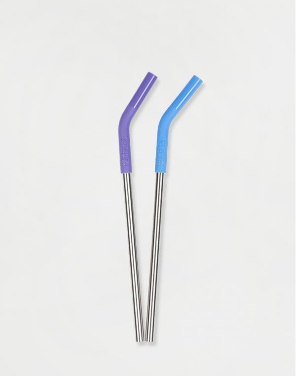 Klean Kanteen Brushed Stainless Straw 2-pack