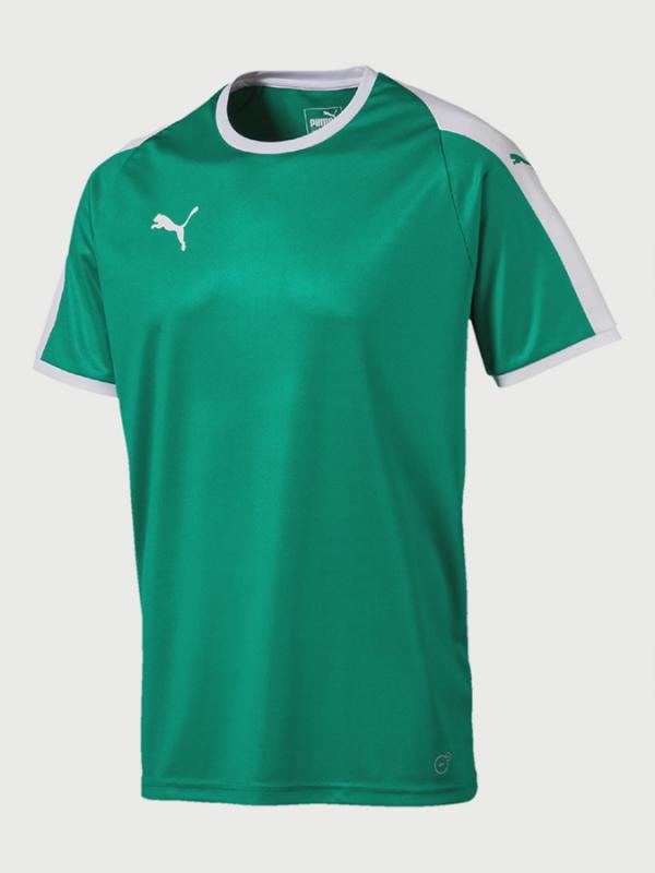 Dres Puma Liga Jersey Zelená