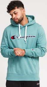 Champion Script Logo Hooded Sweatshirt zelená
