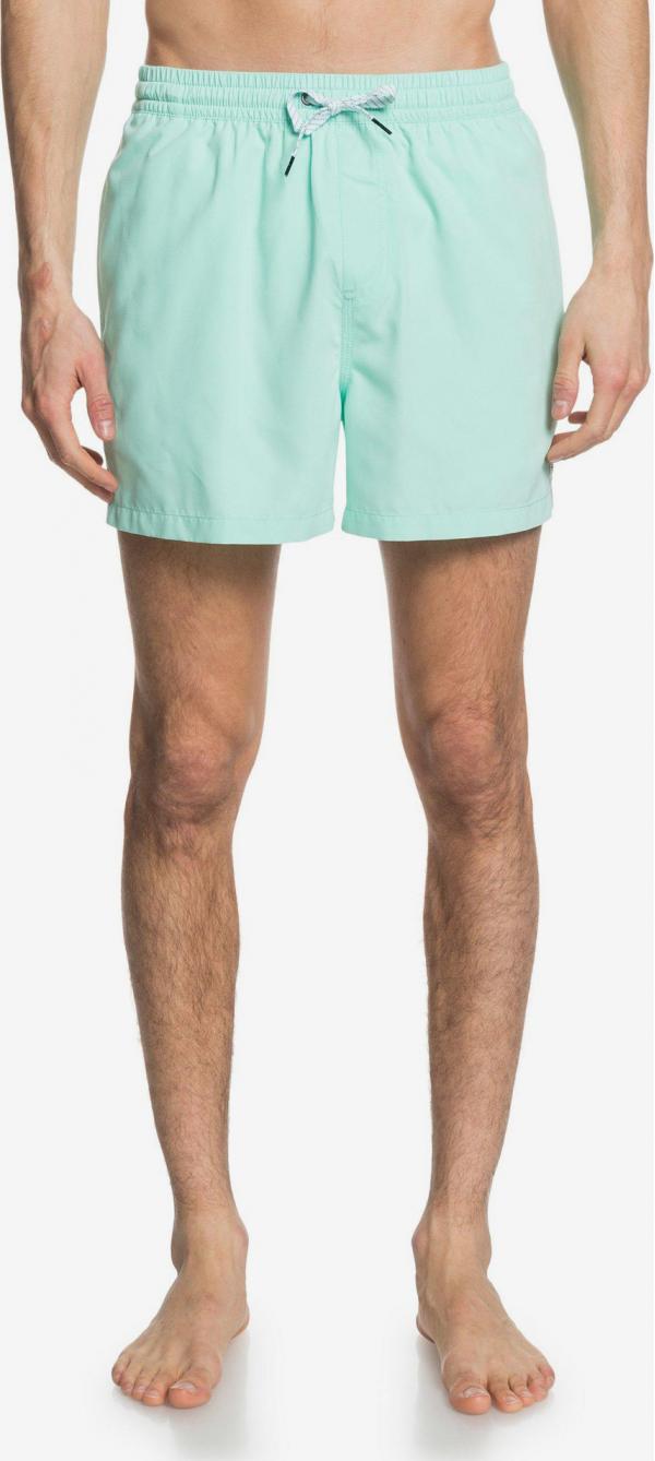 Everyday Plavky Quiksilver