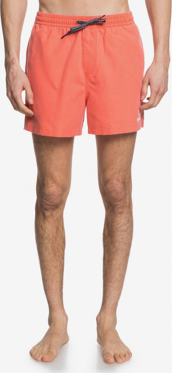 Everyday Plavky Quiksilver