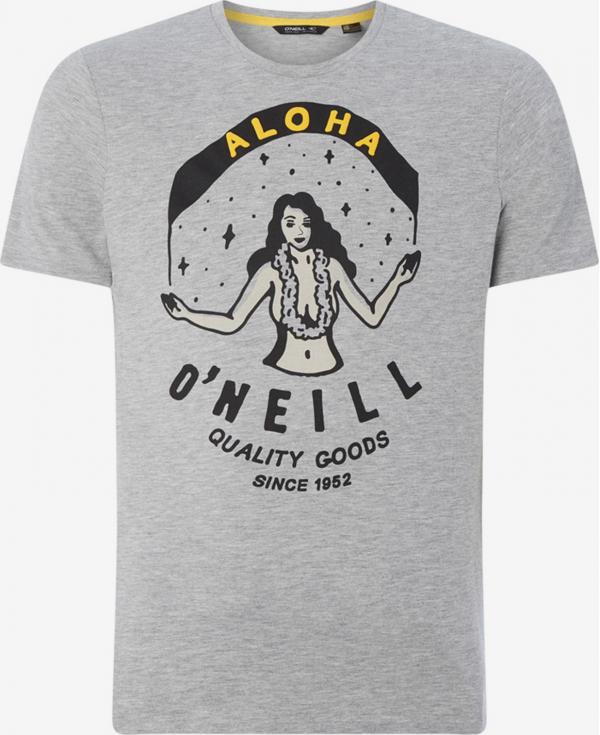 Tričko O'Neill Lm Waimea T-Shirt