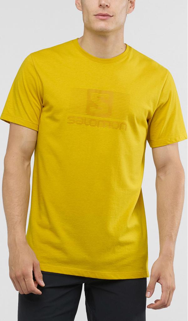 Tričko Salomon Blend Logo Ss Tee M Lemcu/Arrowwoo