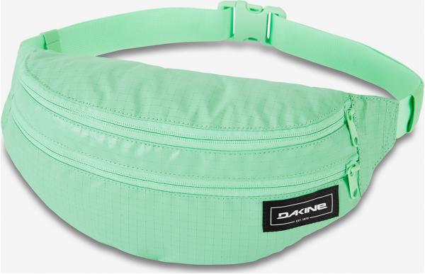 Ledvinka Dakine Classic Hip Pack Large