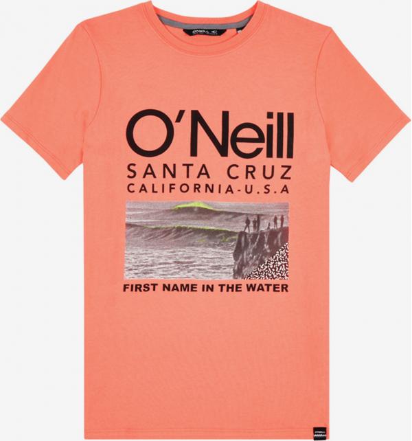 Tričko O'Neill Lb The Point T-Shirt