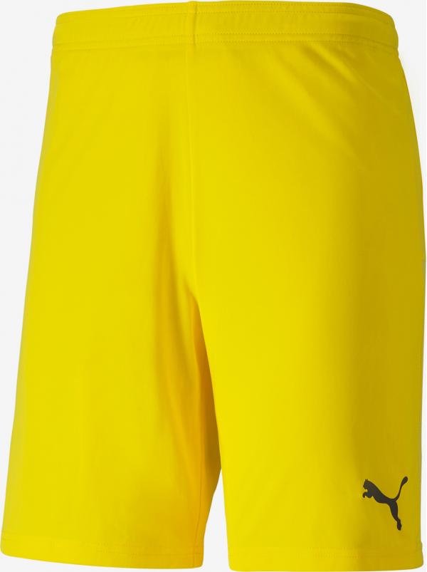 Kraťasy Puma Teamgoal 23 Knit Shorts