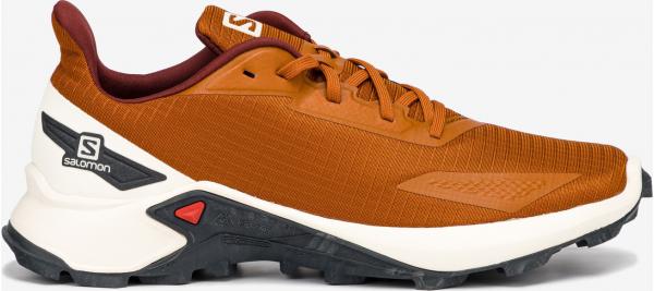 Alphacross Blast Outdoor obuv Salomon