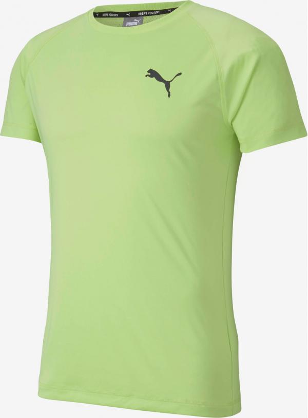 RTG Triko Puma
