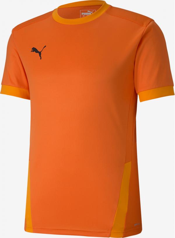 Dres Puma Teamgoal 23 Jersey