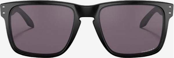 Holbrook XL Sluneční brýle Oakley