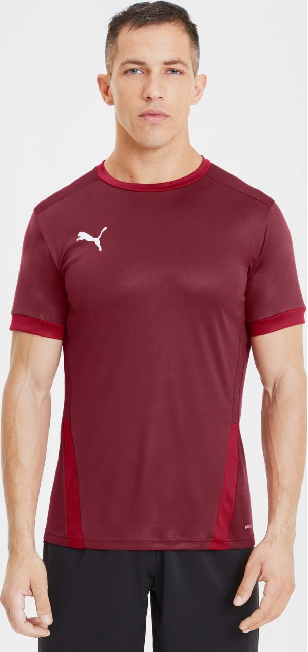 teamGOAL 23 Triko Puma