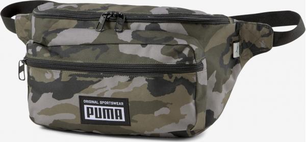 Academy Ledvinka Puma