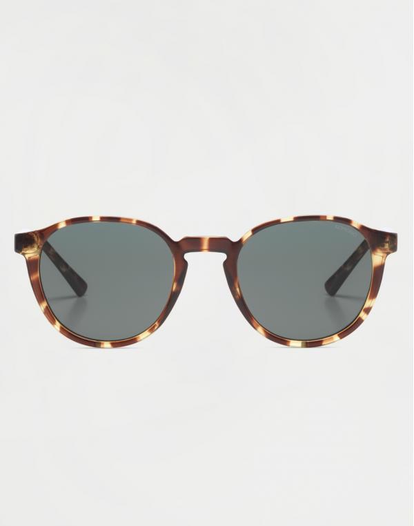 Komono Liam TORTOISE