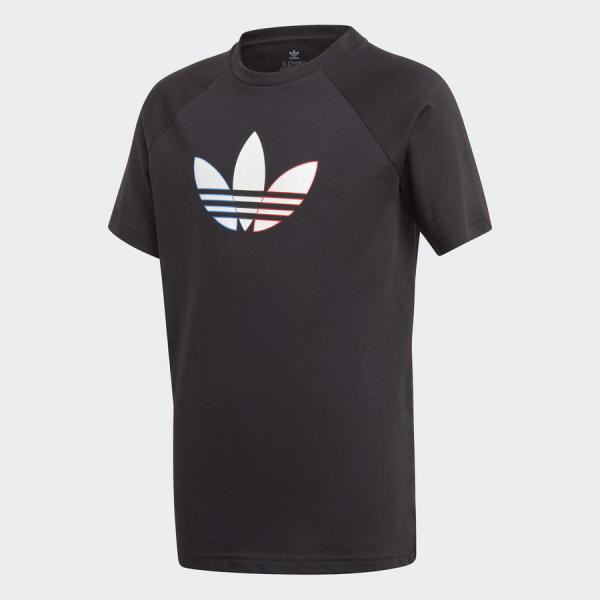 adidas Originals Adicolor Graphic Tee černé