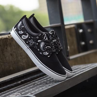 Radii The Jax Jet Paisley Canvas