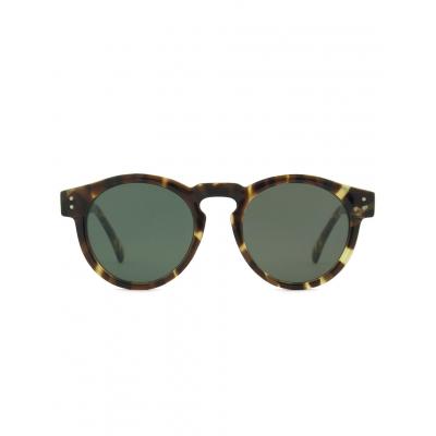 Komono Clement Tortoise