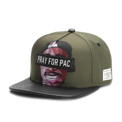 Cayler & Sons WL Pacasso Cap Forrest Green/ Mc