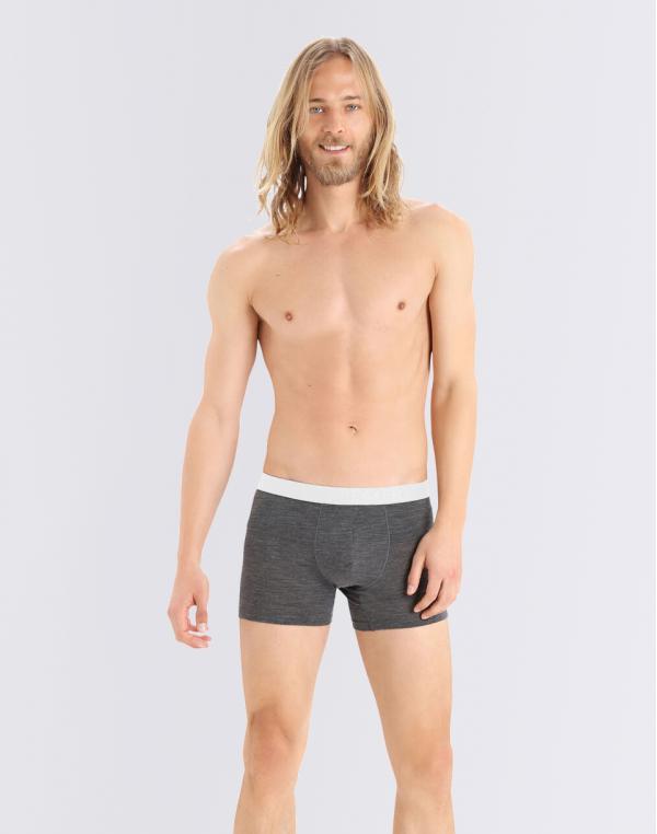 Icebreaker M Anatomica Cool-Lite Boxers Monsoon Heather S