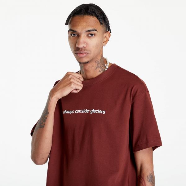 Nike ACG NRG Tee Glacier Oxen Brown