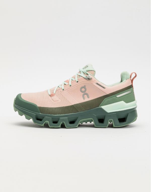 On Cloudwander Waterproof Doe/Ivy 37