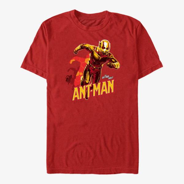 Queens Marvel Ant-Man & The Wasp: Movie - Ant-Man Transform Men's T-Shirt Red