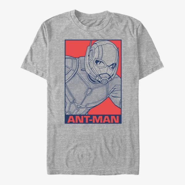 Tričko Merch Marvel Avengers: Endgame - Pop Ant Men's T-Shirt Heather Grey S