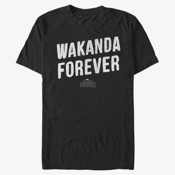 Queens Marvel Black Panther - Panther Stone Men's T-Shirt Black