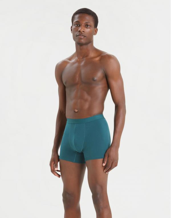 Icebreaker M Anatomica Cool-Lite Boxers Green Glory S