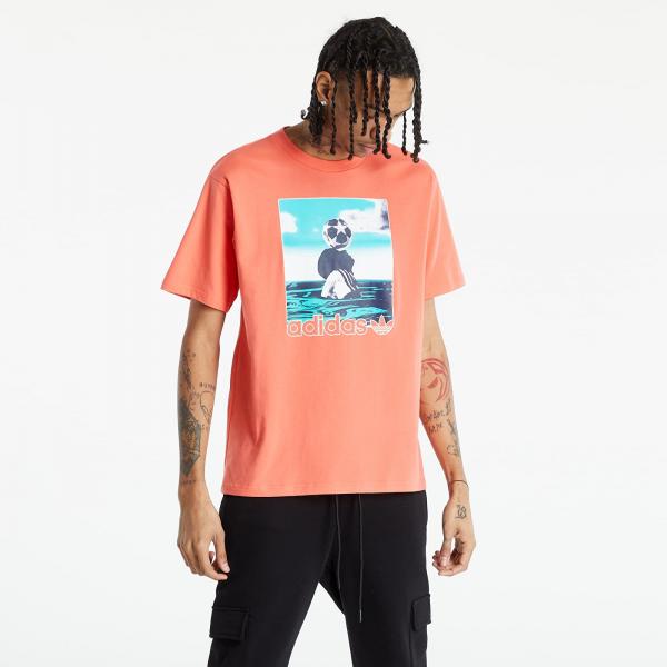 adidas Originals Fotball Photo TEE Turbo/ Multico