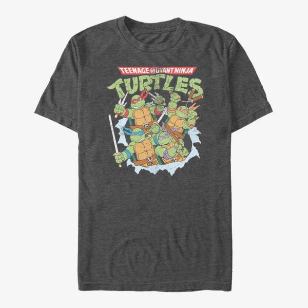Tričko Merch Nickelodeon Teenage Mutant Ninja Turtles - Classic Turtle Group Unisex T-Shirt Dark Heather Grey XXL