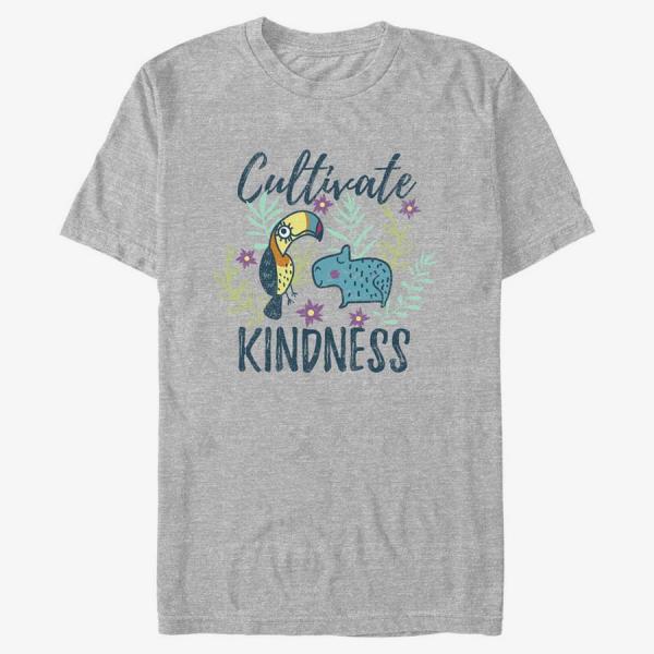 Tričko Merch Disney Encanto - Kindness Unisex T-Shirt Heather Grey S