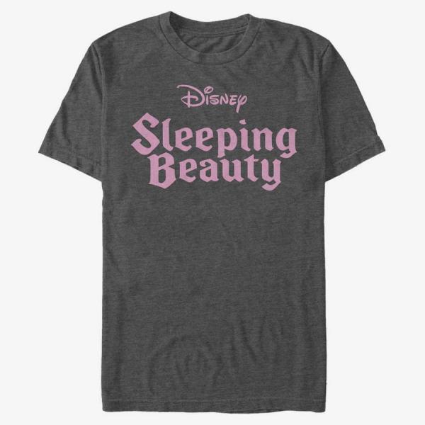Queens Disney Sleeping Beauty - Sleepng Beauty Logo Unisex T-Shirt Dark Heather Grey