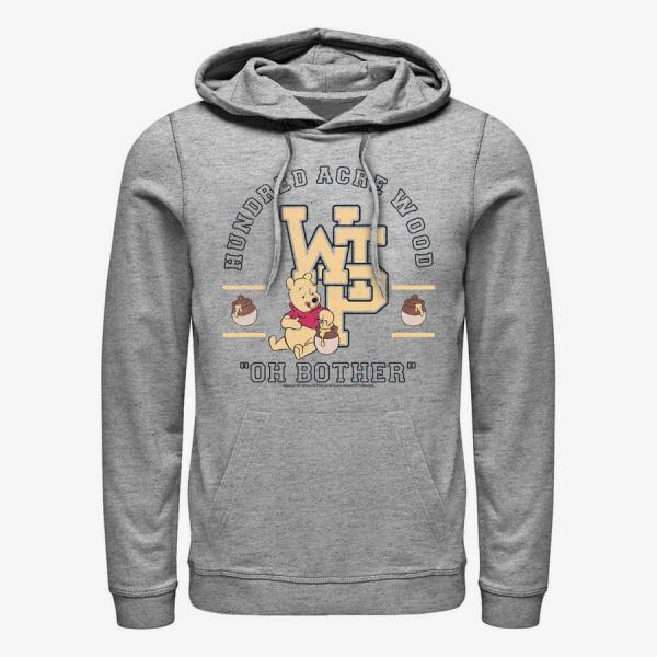 Queens Disney Winnie the Pooh - Winnie The Pooh Collegiate Unisex Hoodie Heather Grey