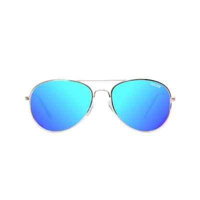 Sluneční brýle Nectar Apollo Polarized Silver / Blue